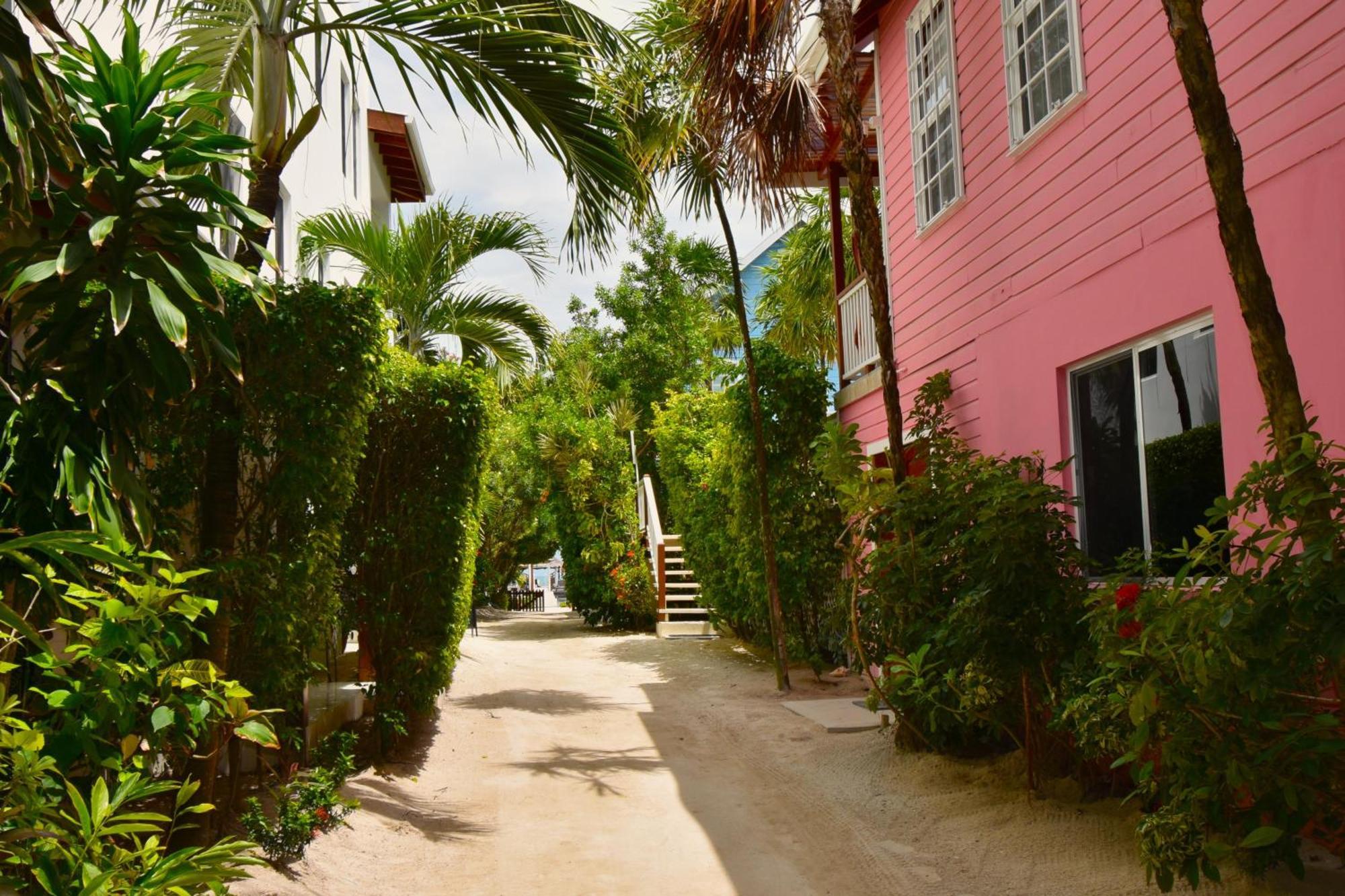 Palmetto Garden Cottage Caye Caulker Kültér fotó